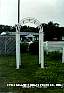 arbor-8.jpg
